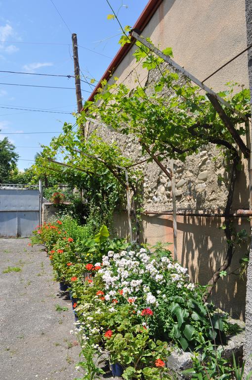Guest House Cico Telavi Luaran gambar
